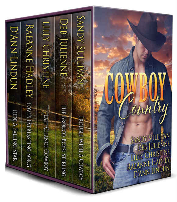 Cowboy Country by Sandy Sullivan