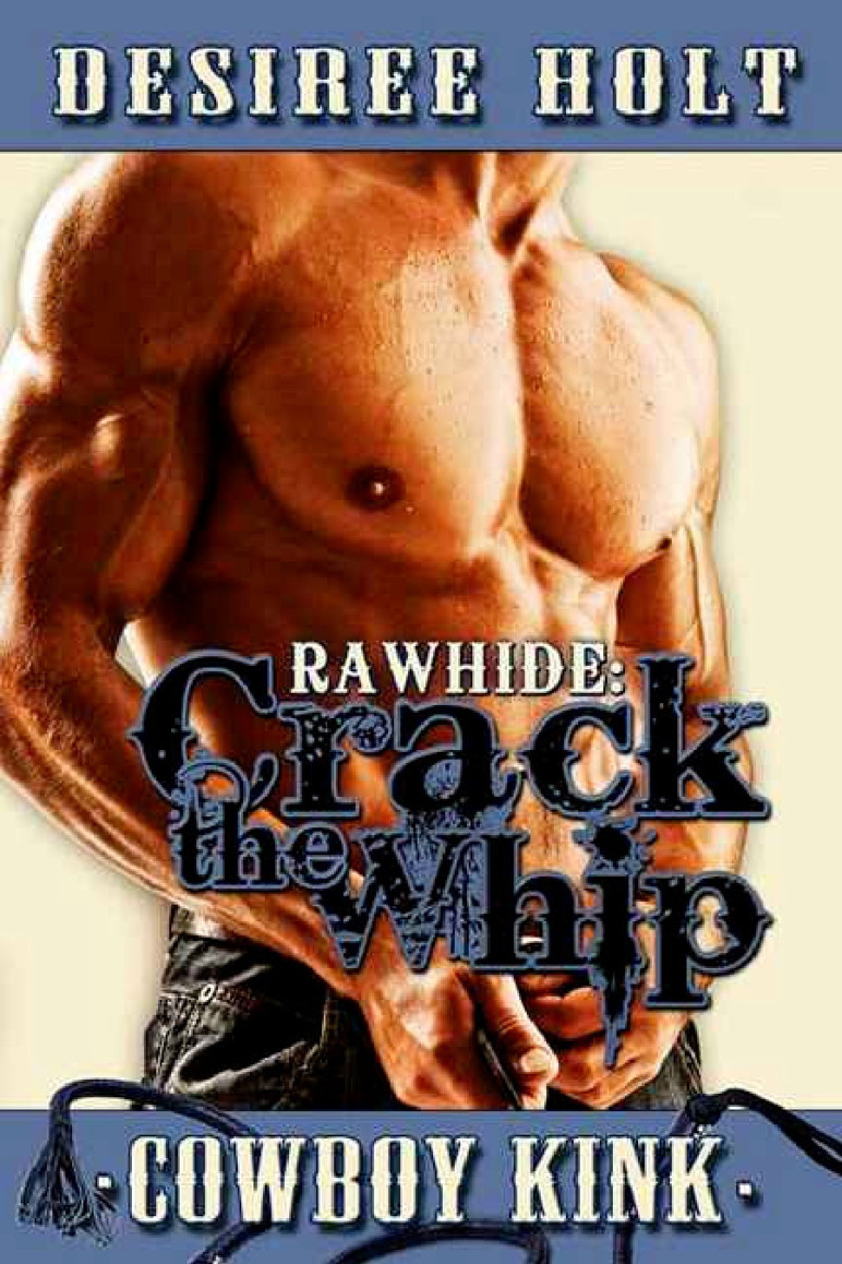 Crack the Whip by Holt, Desiree