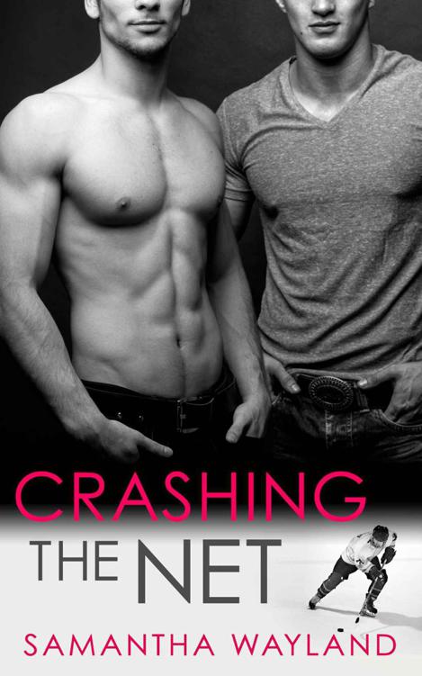 Crashing the Net by Wayland, Samantha