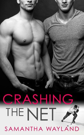 Crashing the Net (2014) by Samantha Wayland