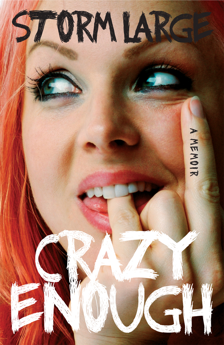 Crazy Enough by Storm Large