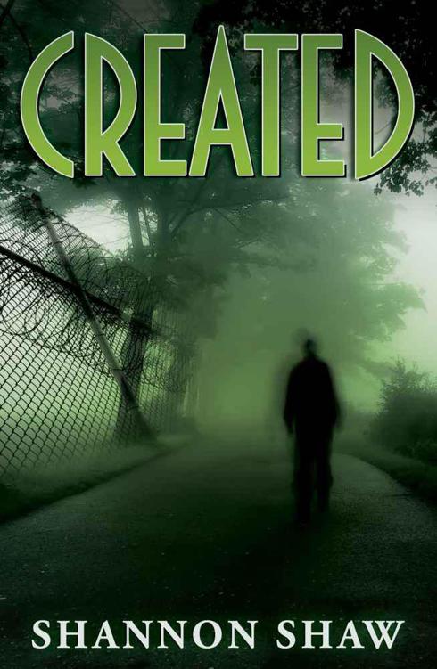 Created (Book 1 of the Created) by Shaw, Shannon