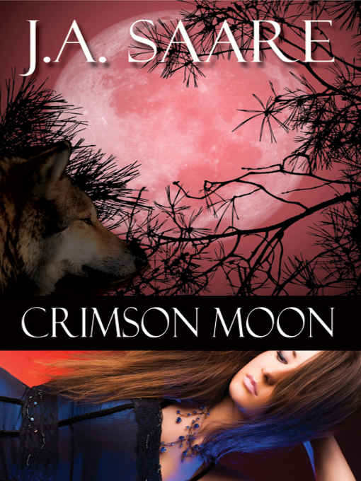 Crimson Moon by J. A. Saare