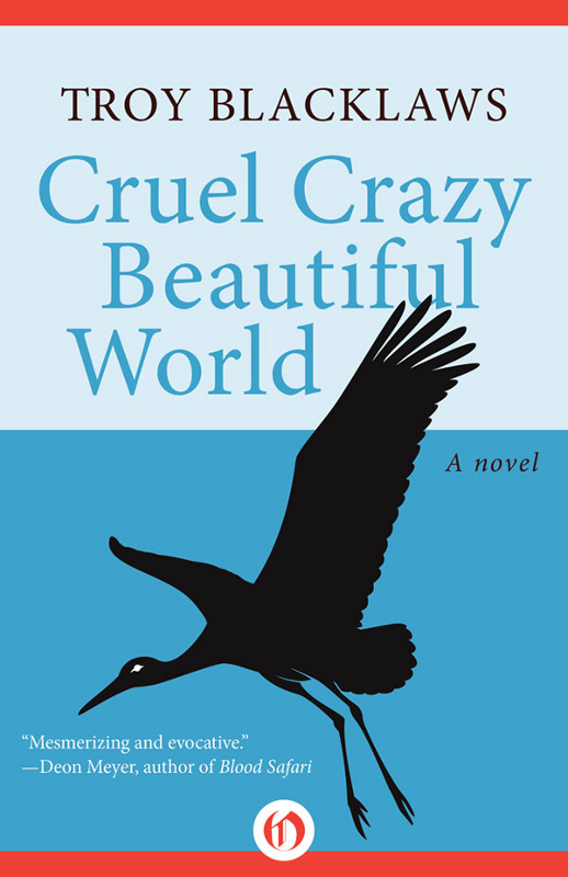 Cruel Crazy Beautiful World by Troy Blacklaws