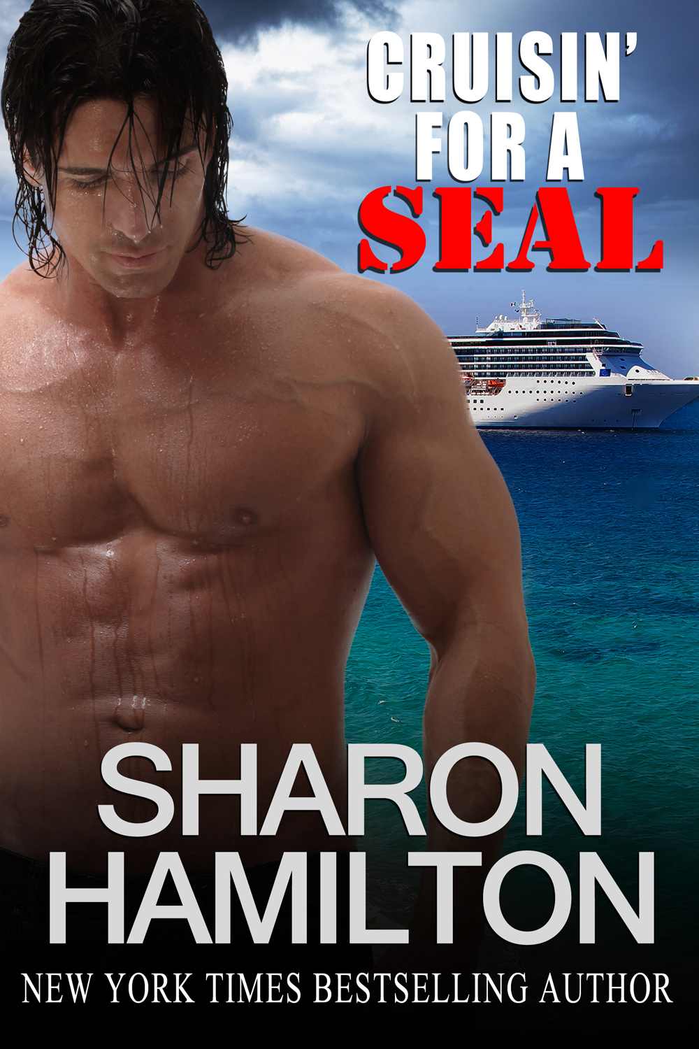 Cruisin' For A SEAL: SEAL Brotherhood #5 by Hamilton, Sharon