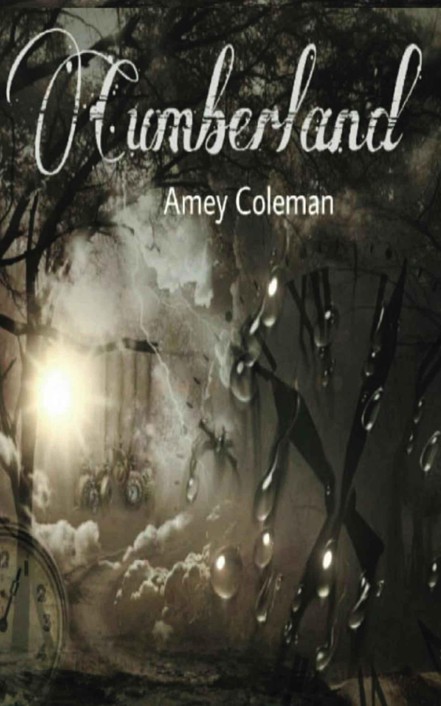 Cumberland (Not A Dream Book 1) by Amey Coleman