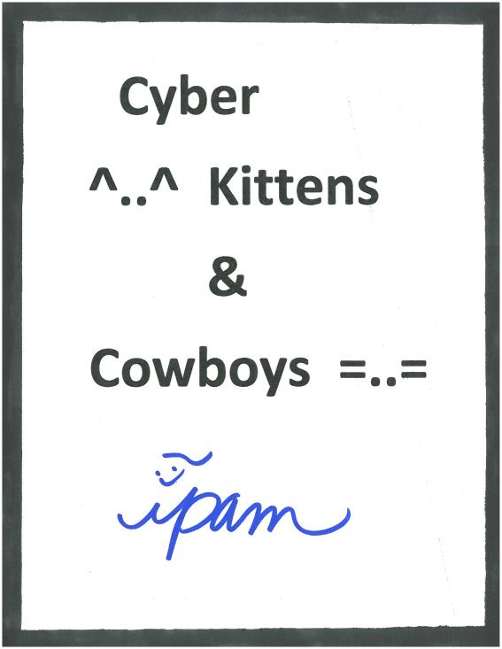 Cyber Kittens and Cowboys by ipam