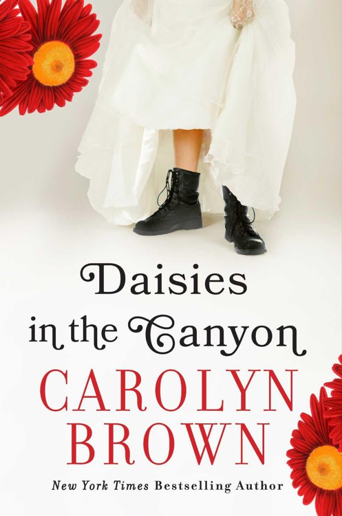 Daisies in the Canyon by Brown, Carolyn