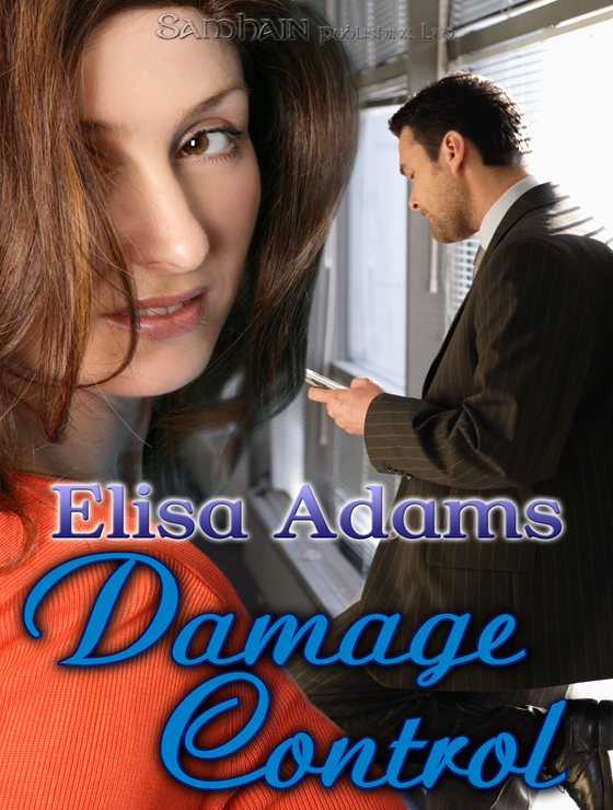 Damage Control (2007) by Elisa Adams