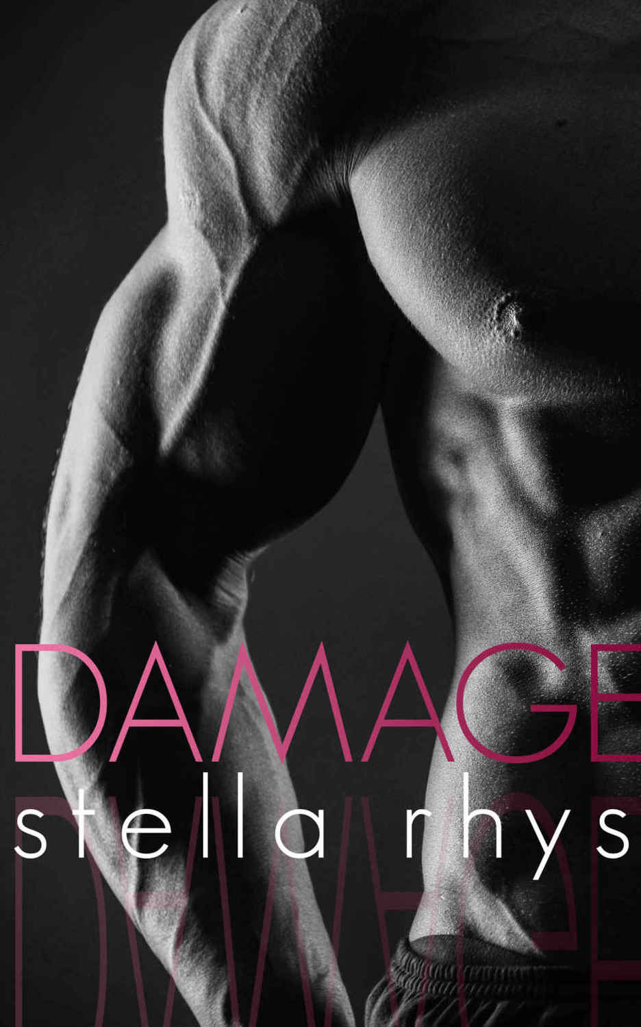 Damage (Havoc #2)