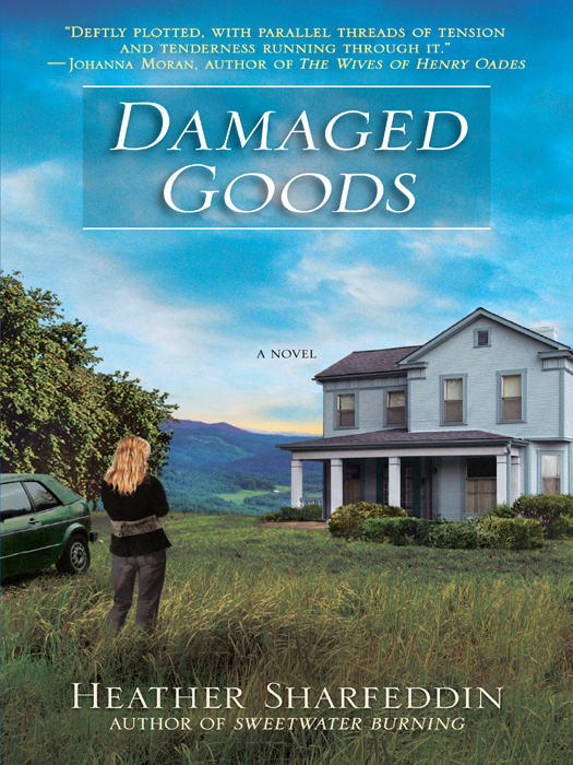 Damaged Goods (2011) by Heather Sharfeddin