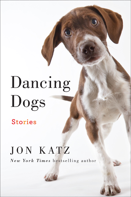 Dancing Dogs (2012) by Jon Katz