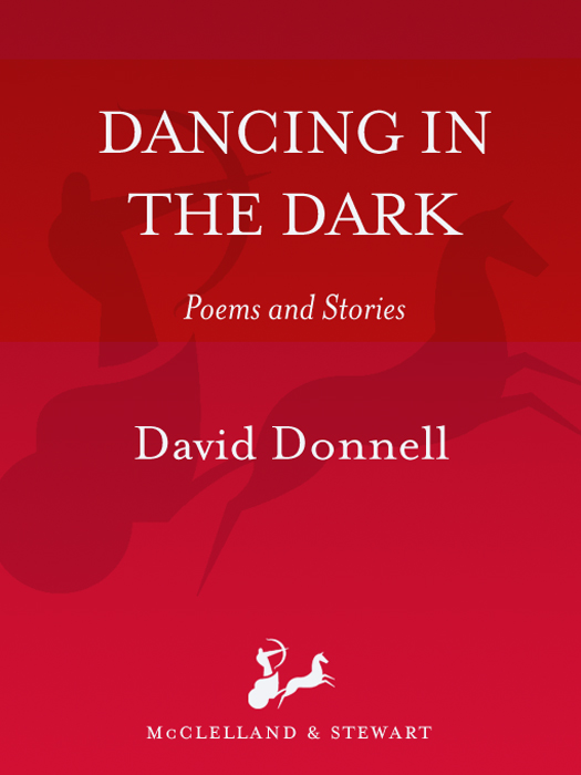 Dancing in the Dark (1996) by David Donnell