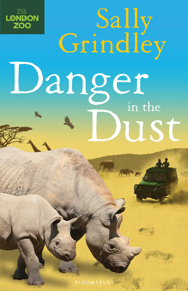 Danger in the Dust (2013) by Sally Grindley