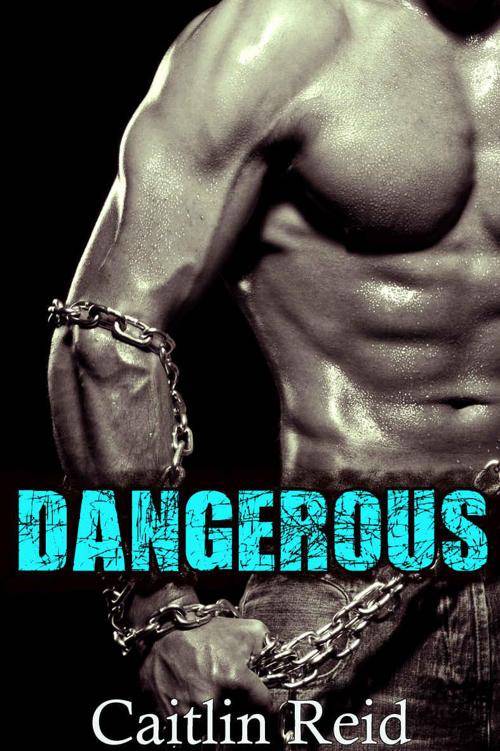 Dangerous by Reid, Caitlin