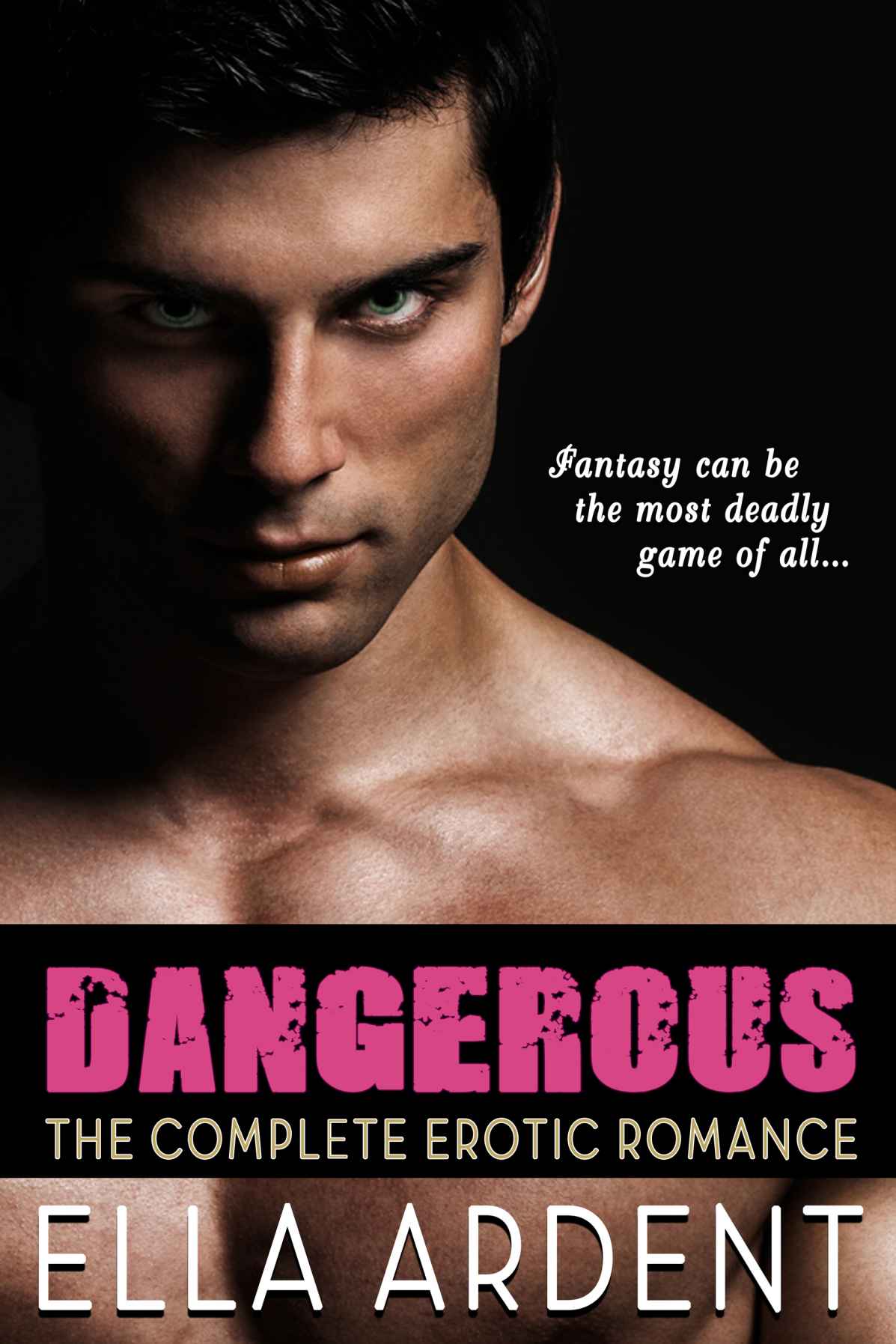 Dangerous (The Complete Erotic Romance Novel) by Ella Ardent