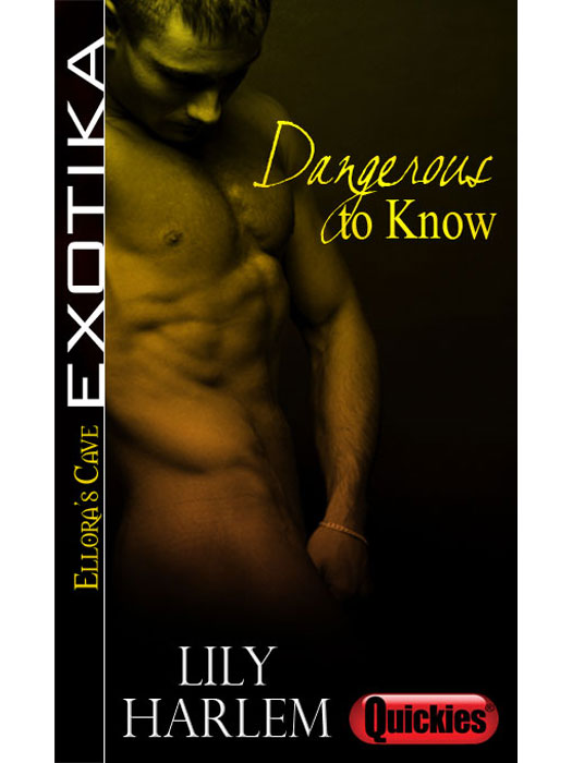 DangeroustoKnow (2013) by Lily Harlem