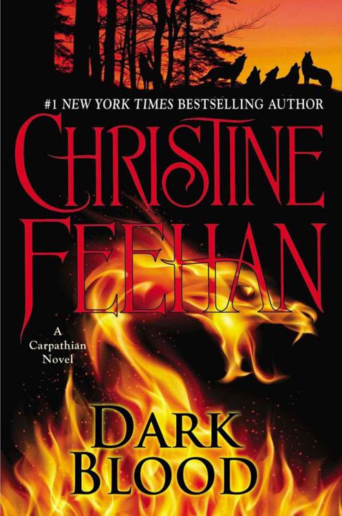 Dark Blood by Christine Feehan