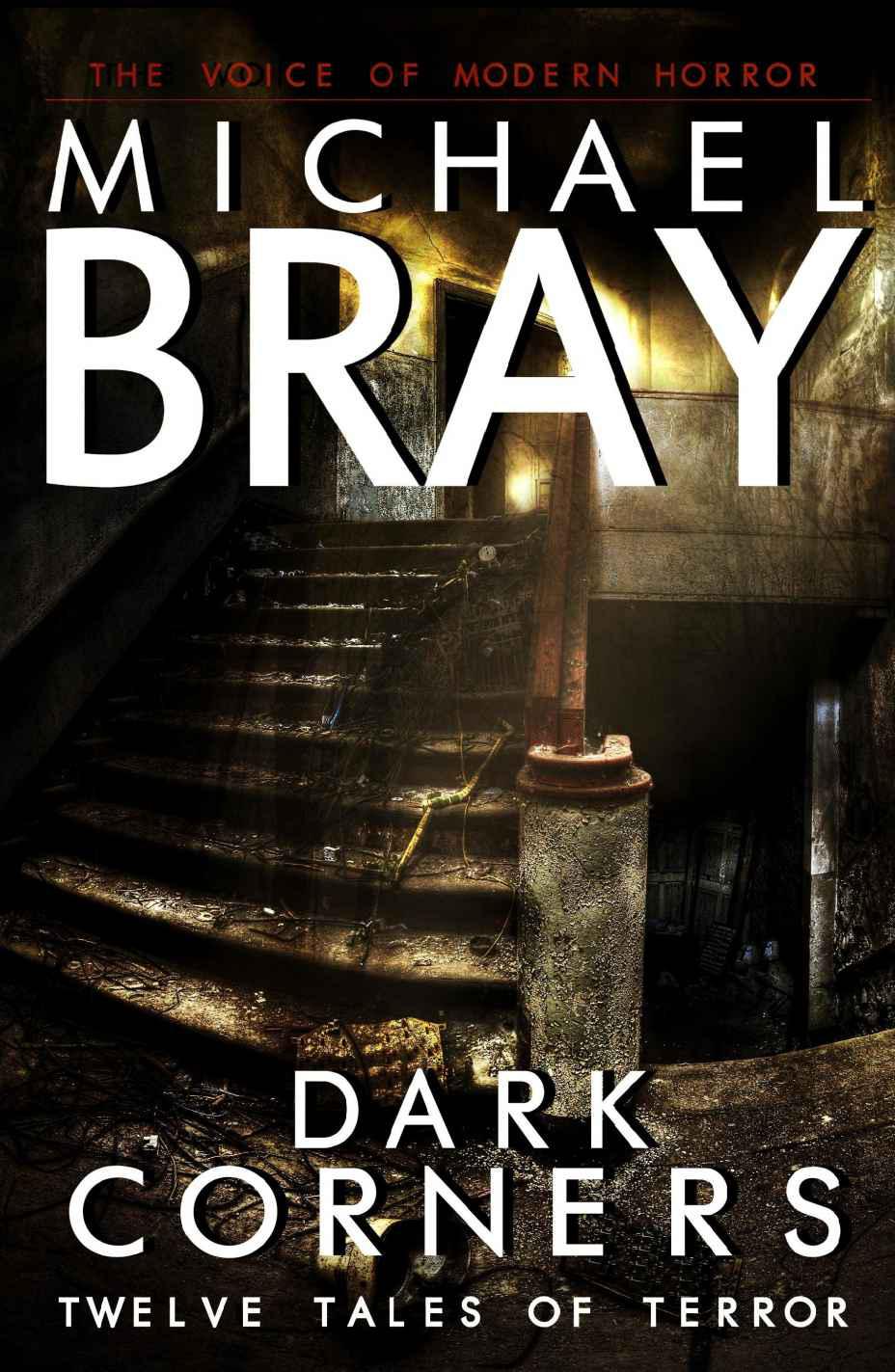 Dark Corners - Twelve Tales of Terror by Bray, Michael