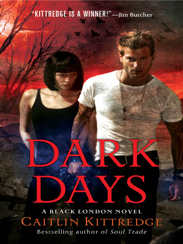 Dark Days (2013) by Caitlin Kittredge