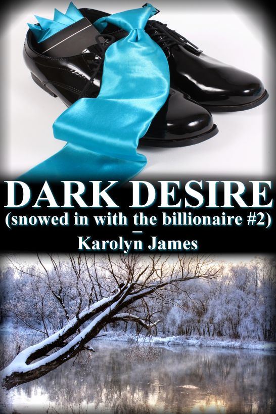 DARK DESIRE (snowed in with the billionaire #2) (billionaire erotic romance)