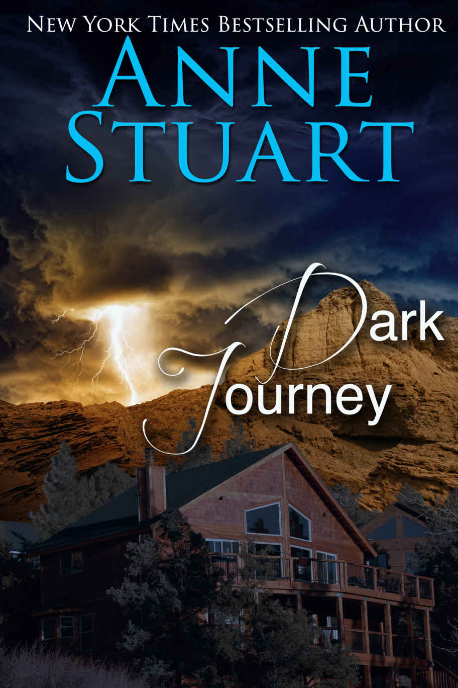 Dark Journey by Stuart, Anne