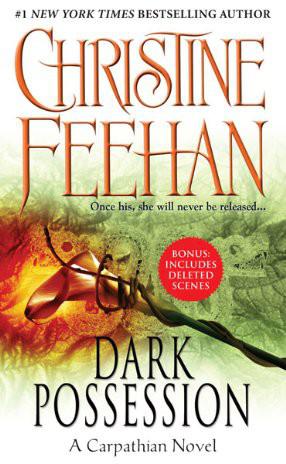 Dark Possession by Christine Feehan