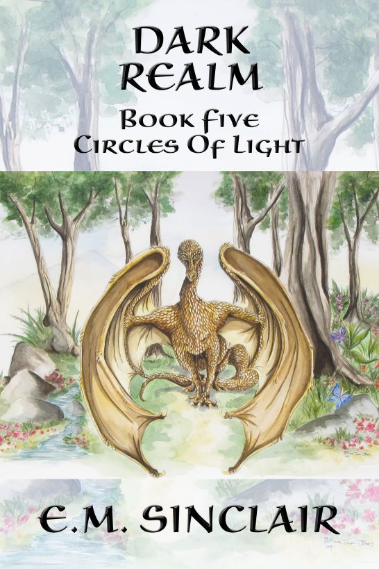 Dark Realm: Book 5 Circles of Light series by E.M. Sinclair