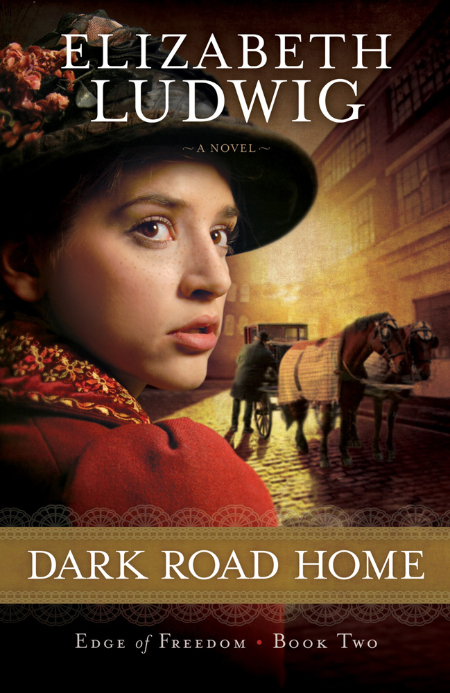 Dark Road Home by Ludwig, Elizabeth