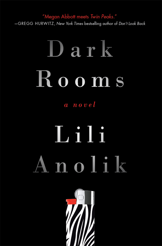 Dark Rooms by Lili Anolik