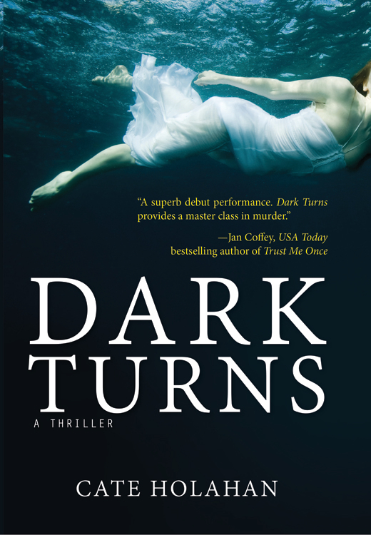 Dark Turns (2015) by Cate Holahan