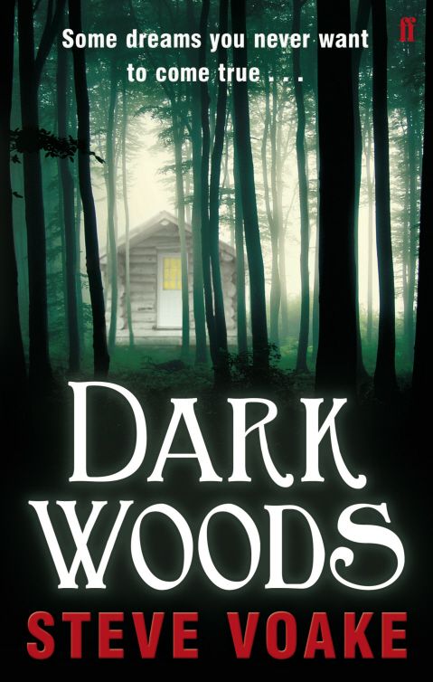 Dark Woods (2011) by Steve Voake