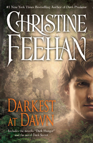 Darkest at Dawn (2011) by Christine Feehan