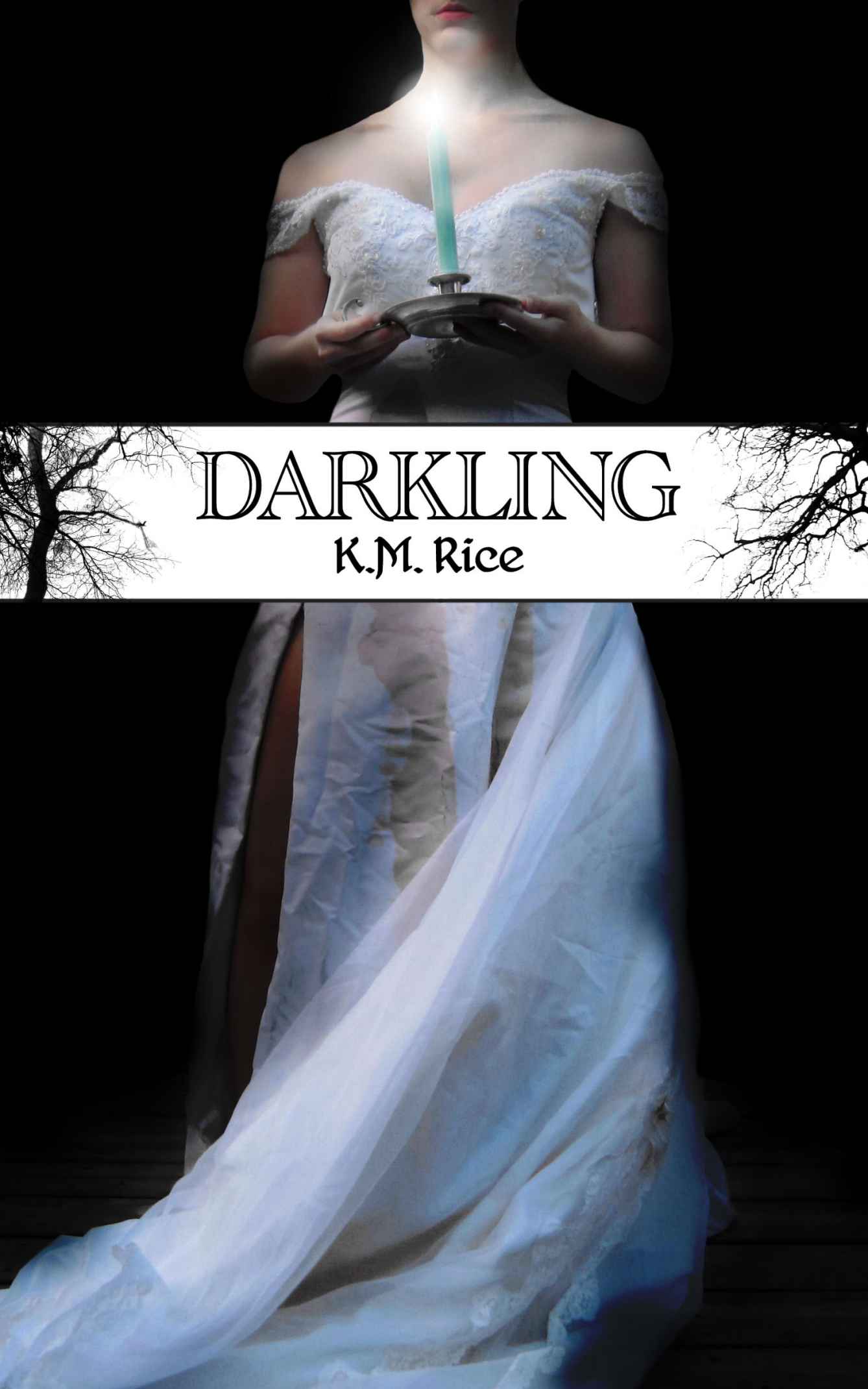 Darkling by Rice, K.M.