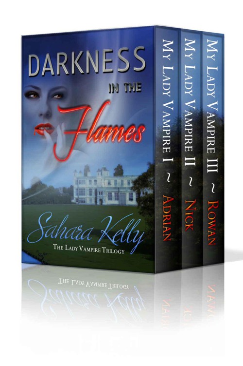 Darkness In The Flames by Kelly, Sahara