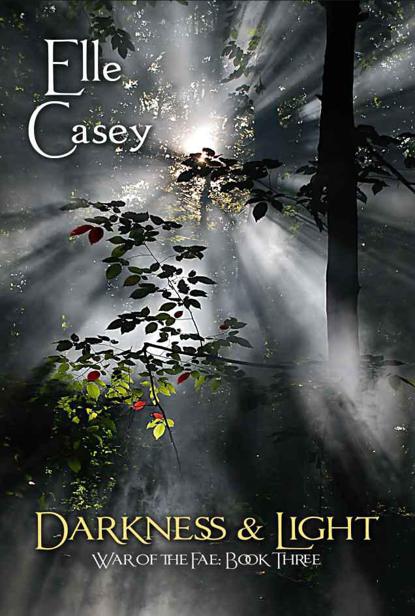 Darkness & Light (War of the Fae: Book 3) by Casey, Elle