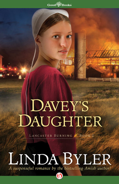 Davey's Daughter by Linda Byler