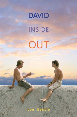 David Inside Out (2009) by Lee Bantle