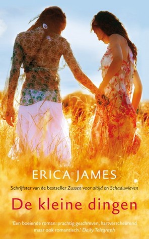 De kleine dingen (2010) by Erica James