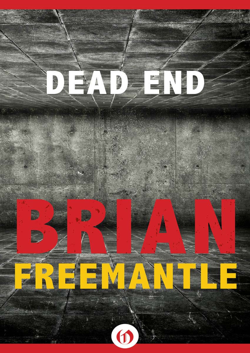 Dead End by Brian Freemantle