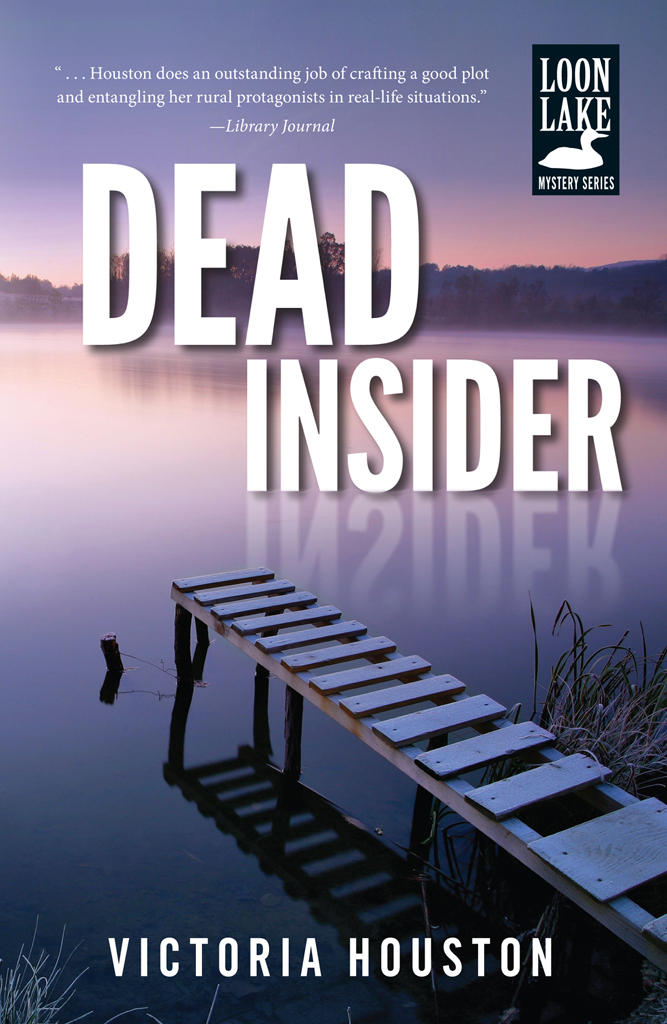 Dead Insider (2013)