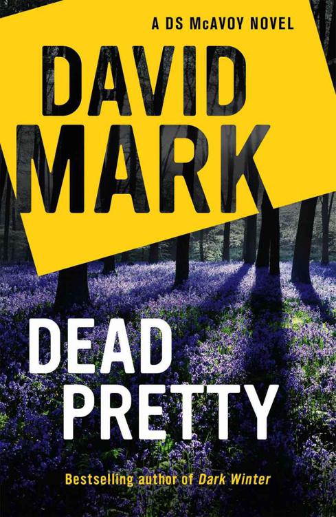 Dead Pretty: The 5th DS McAvoy Novel (DS Aector McAvoy)