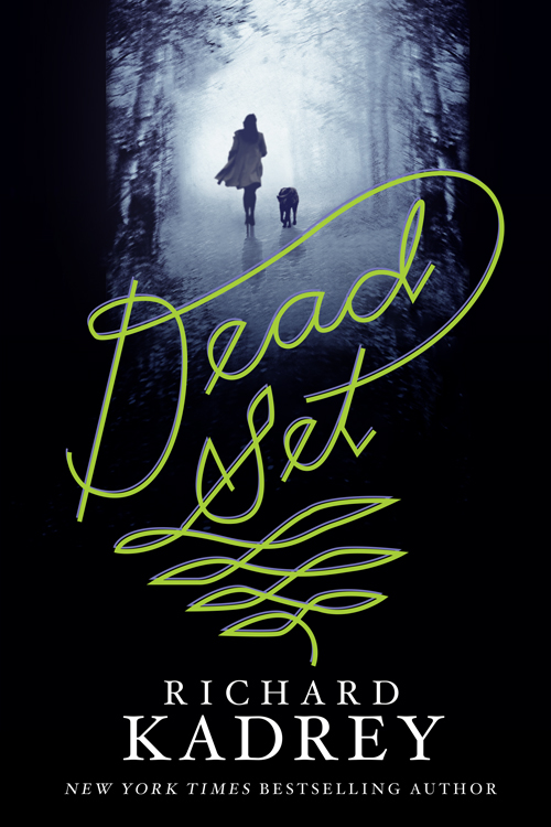 Dead Set (2013) by Richard Kadrey