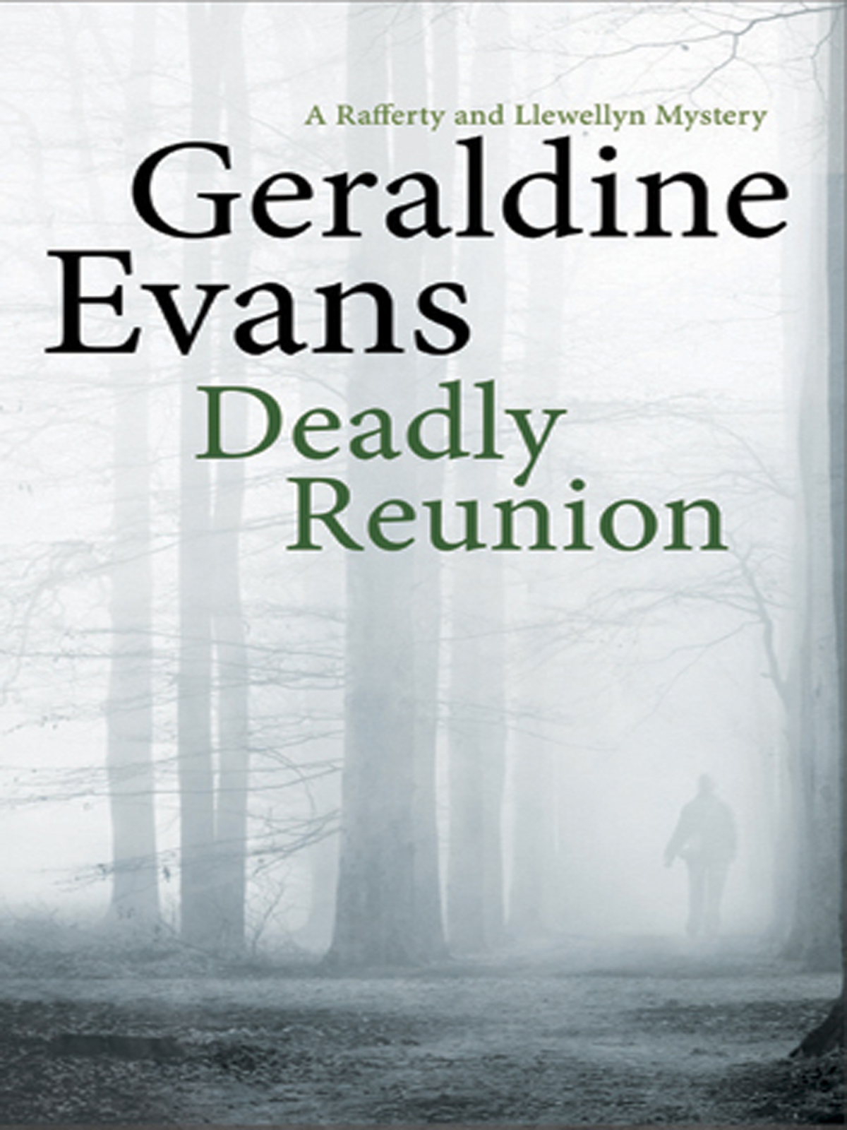 Deadly Reunion (2011) by Geraldine Evans