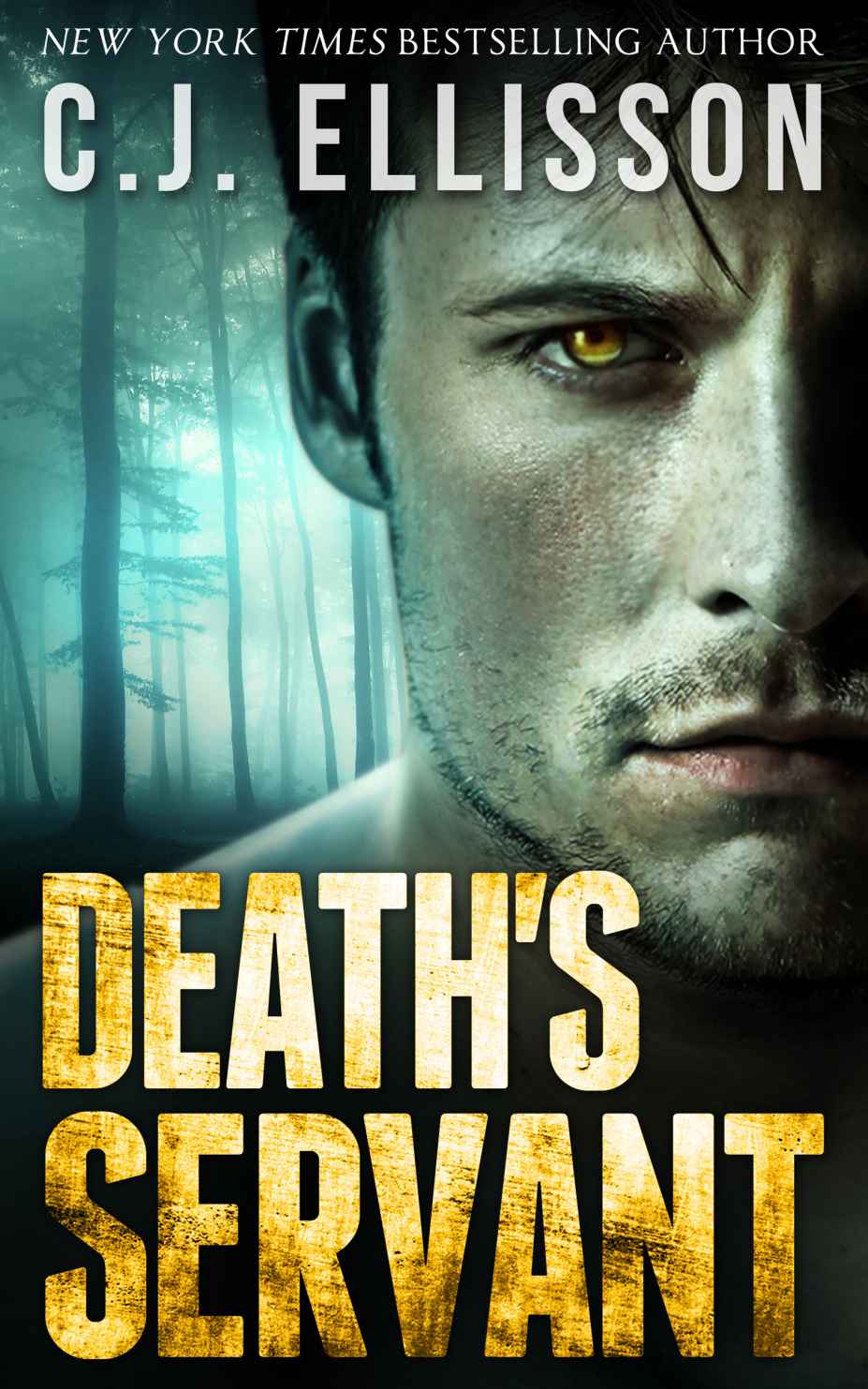 Death Times Two (The V V Inn, Book 3.5) by Ellisson, C.J.