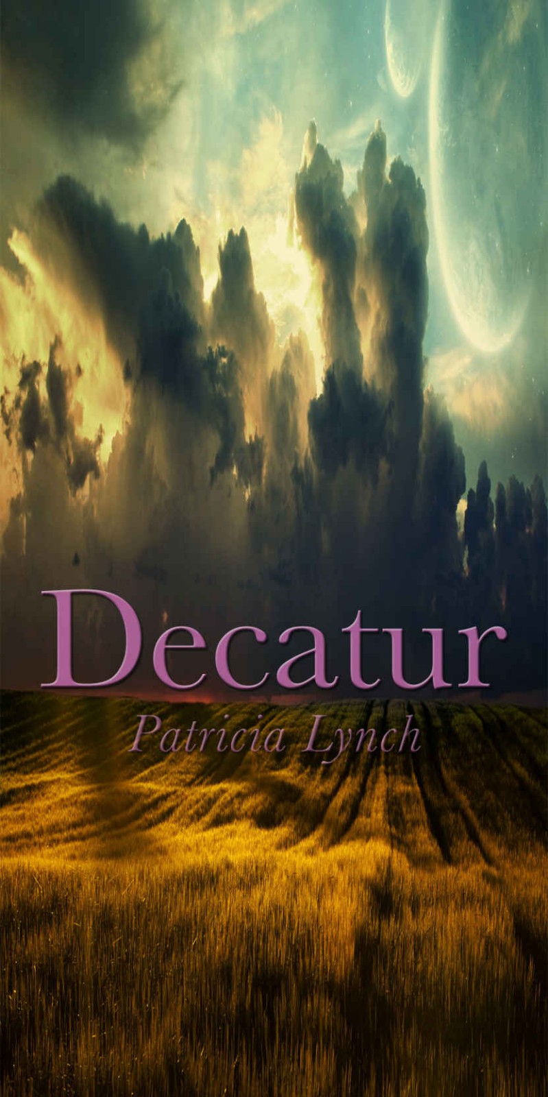 Decatur by Patricia Lynch