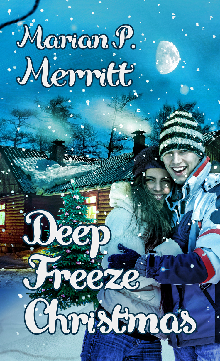 Deep Freeze Christmas (2014) by Marian P. Merritt