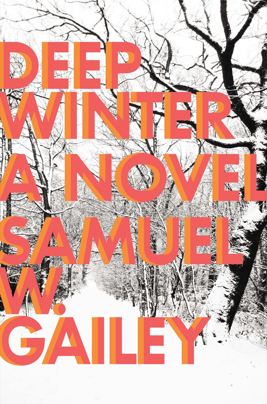 Deep Winter by Samuel W. Gailey