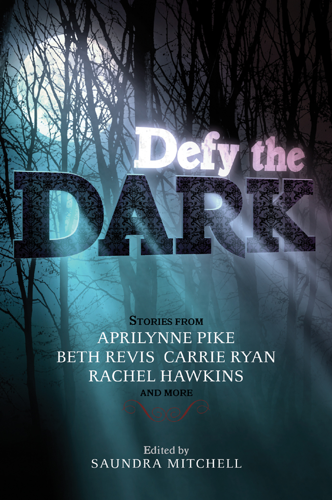 Defy the Dark (2013) by Saundra Mitchell