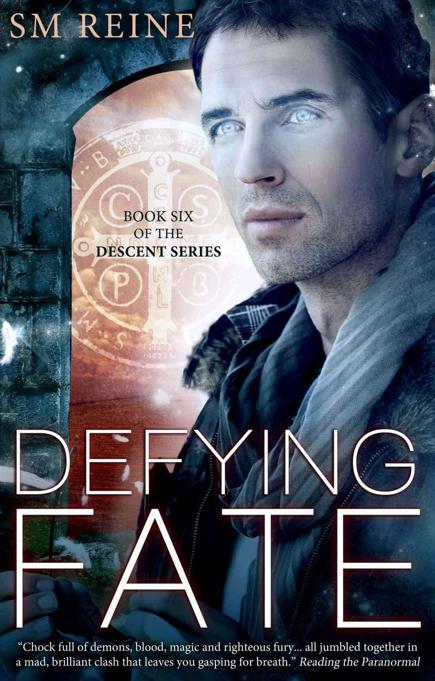 Defying Fate by Reine, S. M.